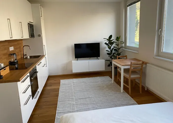 Vila Vinice